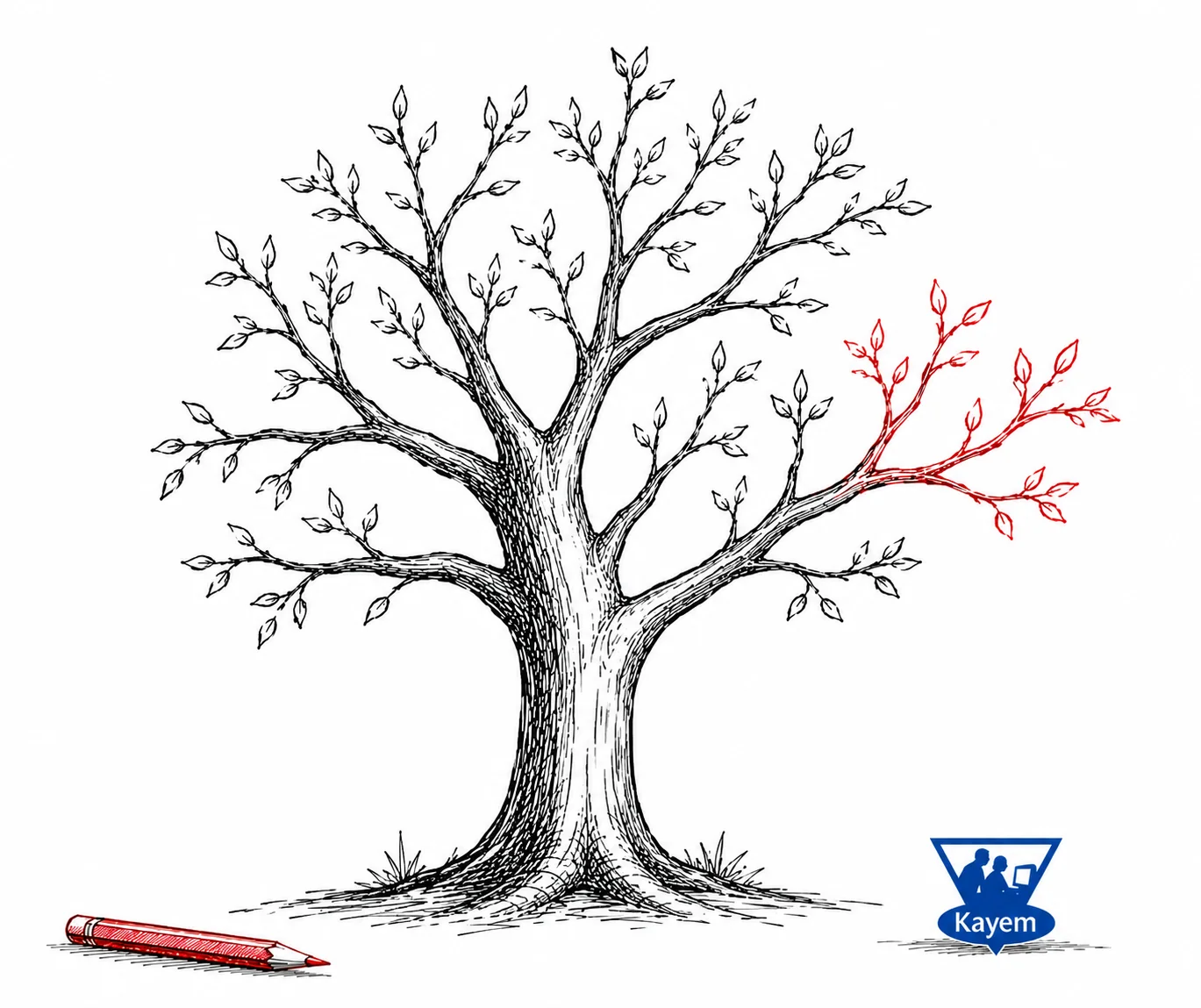 Hand-drawn tree with one branch highlighted in Kayem blue, representing how knowledge grows from connected ideas